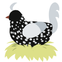 A black and mist chicken with a speckle pattern