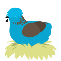 A cerulean and bark chicken with a neck-speckle pattern