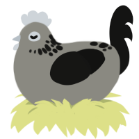DANDRUFF, a ash and black chicken with a neck-speckle pattern