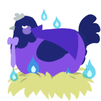 misfortune, a blurple and navy chicken with a head pattern