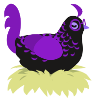 A sable and violet chicken with a half-lace pattern