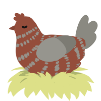 A russet and ash chicken with a bar pattern