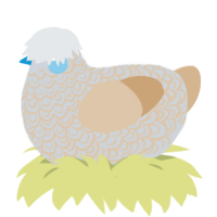 A mist and beige chicken with a double-lace pattern