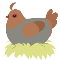 A ash and brown chicken with a head pattern