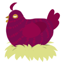 Velvety, a wine and maroon chicken with a bar pattern