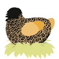 b, a black and honey chicken with a double-lace pattern