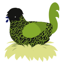 greemlin, a black and chartreuse chicken with a double-lace pattern