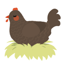 A bark chicken with a lace pattern