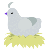 A mist and silver chicken with a speckle pattern