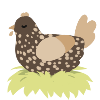A bark and beige chicken with a speckle pattern