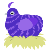 A indigo and blurple chicken with a bar pattern