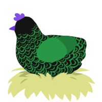 DJ, a black and viridian chicken with a double-lace pattern