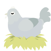 visiting bby, a mist and silver chicken with a head pattern