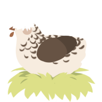 A cream and bark chicken with a half-lace pattern
