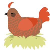 A brown and vermilion chicken with a lace pattern