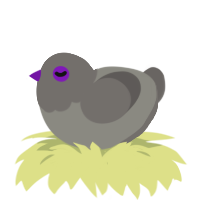 A ash and grey chicken with a head pattern