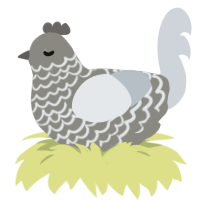A ash and mist chicken with a lace pattern