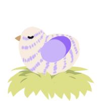 A cream and lilac chicken with a bar pattern
