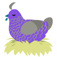 A blurple and ash chicken with a lace pattern