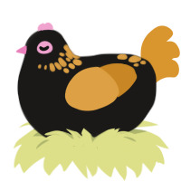 Pumpkin, a sable and orange chicken with a neck-speckle pattern