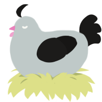 Java, a silver and sable chicken