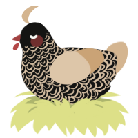A black and beige chicken with a double-lace pattern