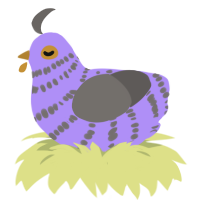 A lilac and grey chicken with a bar pattern