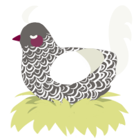 A grey and white chicken with a double-lace pattern