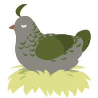 A ash and olive chicken with a half-lace pattern