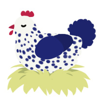 A white and navy chicken with a speckle pattern