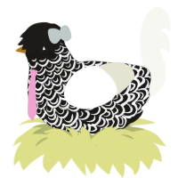 A sable and white chicken with a double-lace pattern