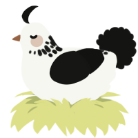 A white and black chicken with a neck-speckle pattern