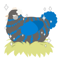 A grey and sapphire chicken with a bar pattern