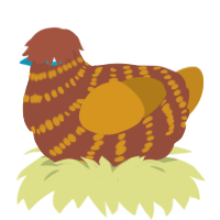 A russet and ochre chicken with a bar pattern