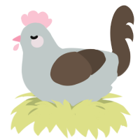Valentine, a silver and bark chicken