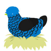 Forward, a sapphire and sable chicken with a lace pattern