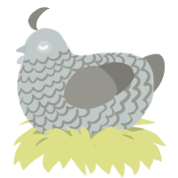 A silver and ash chicken with a lace pattern