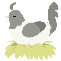 A white and ash chicken with a head pattern