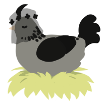 The Cage, a ash and black chicken with a neck-speckle pattern
