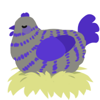 A ash and indigo chicken with a bar pattern
