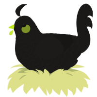 A sable chicken with a lace pattern