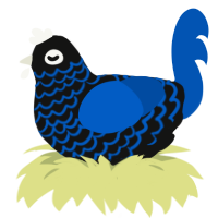 A black and ultramarine chicken with a lace pattern