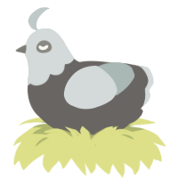 A grey and silver chicken with a head pattern
