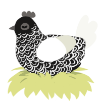 A sable and white chicken with a double-lace pattern