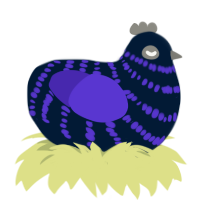 La Banque, a tumblr and indigo chicken with a bar pattern