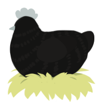 A black and sable chicken with a bar pattern