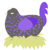 Purple Neon, a grey and blurple chicken with a speckle pattern