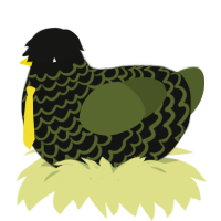 pye, a black and olive chicken with a lace pattern