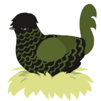 A sable and olive chicken with a lace pattern