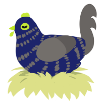(unnamed), a navy and grey chicken with a bar pattern